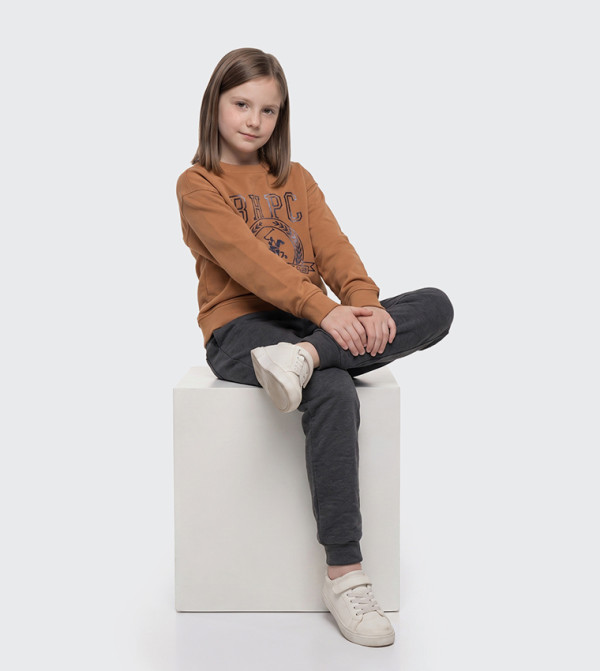 Beverly Hills Polo Club  Sweatshirts - Brown Sweatshirts