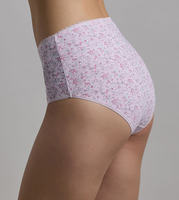 R&B  Lingerie - Multi Briefs