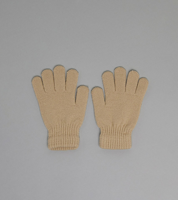 R&B - Beige Winter Wear Suits