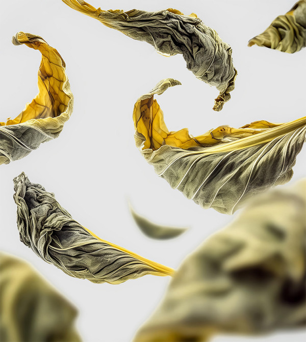 ريتوالز   منزل و مطبخ - أبيض Incense & Holders