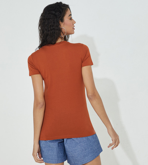 Aeropostale Aeropostale - Brown Casual T-Shirts