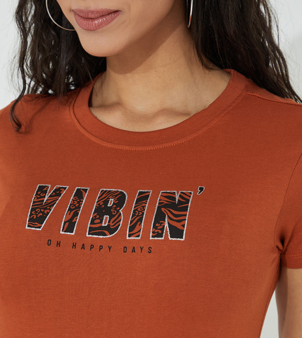 Aeropostale Aeropostale - Brown Casual T-Shirts