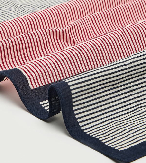 Tommy Hilfiger  Scarves - Navy Knitted Scarves