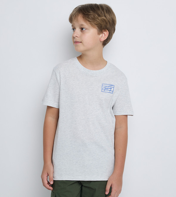 Tommy Hilfiger Clothing - Grey T-shirts