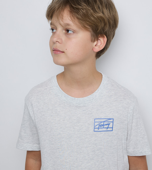 Tommy Hilfiger Clothing - Grey T-shirts
