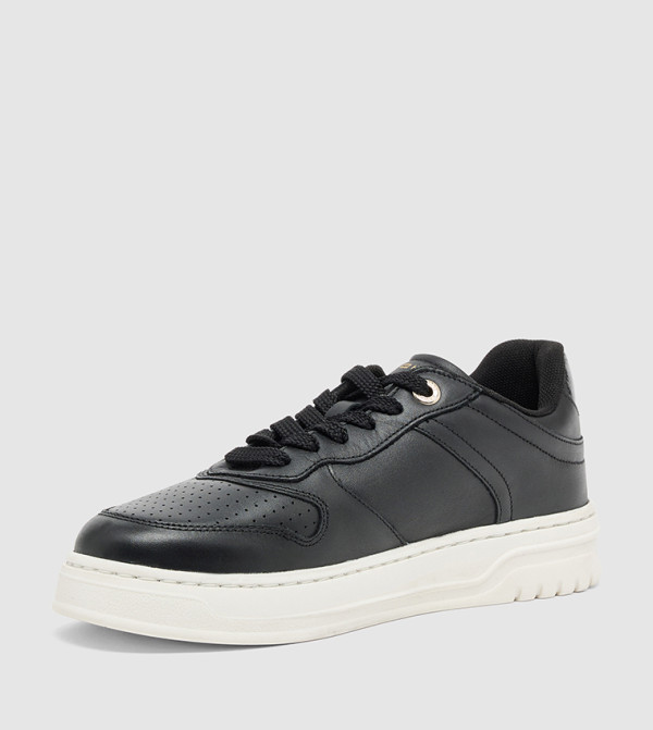 Tommy Hilfiger  Shoes - Black Low Top