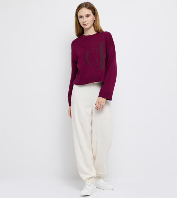 Calvin Klein Jeans  Sweaters & Cardigans - Burgundy Round Neck Sweaters