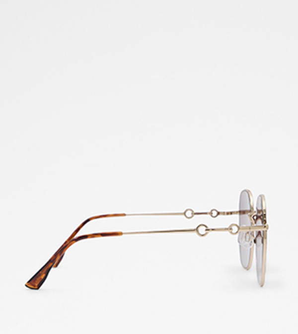 Aldo Accessories Aviators - Brown undefined