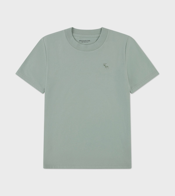 Abercrombie & Fitch Abercrombie & Fitch - Green T-shirts