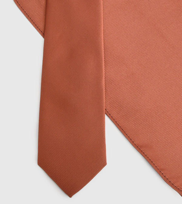 Burton  Ties - Orange Regular Ties