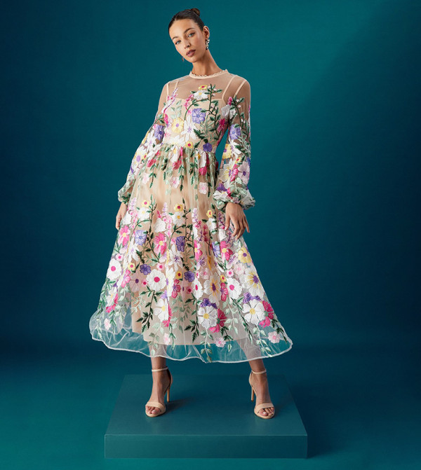 Coast Dresses - Multi Party Dresses