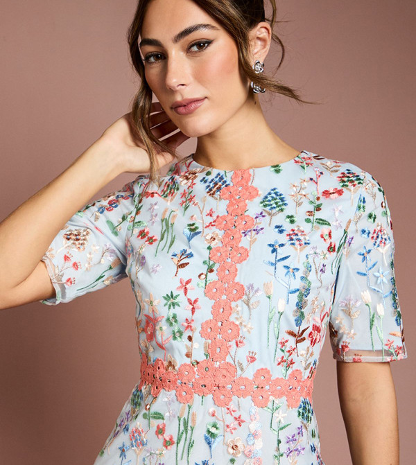 Coast  Midi Dresses - Blue Midi Dresses