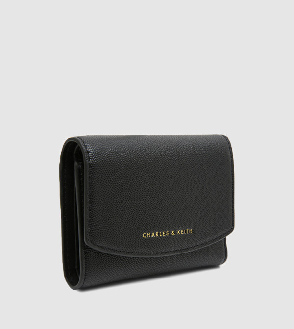 Charles & Keith  Accessories - Black undefined