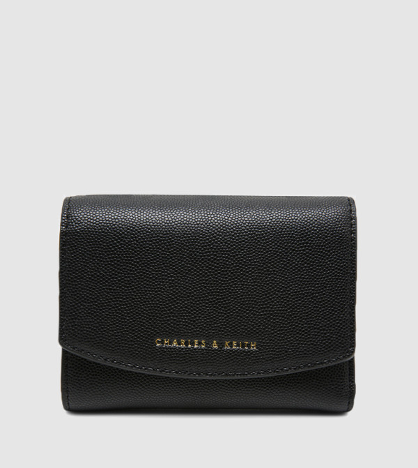 Charles & Keith  Accessories - Black undefined