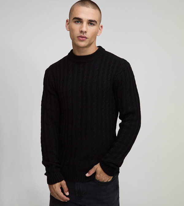 بوهو مان  سترات و كارديغانات  - أسود Round Neck Sweaters