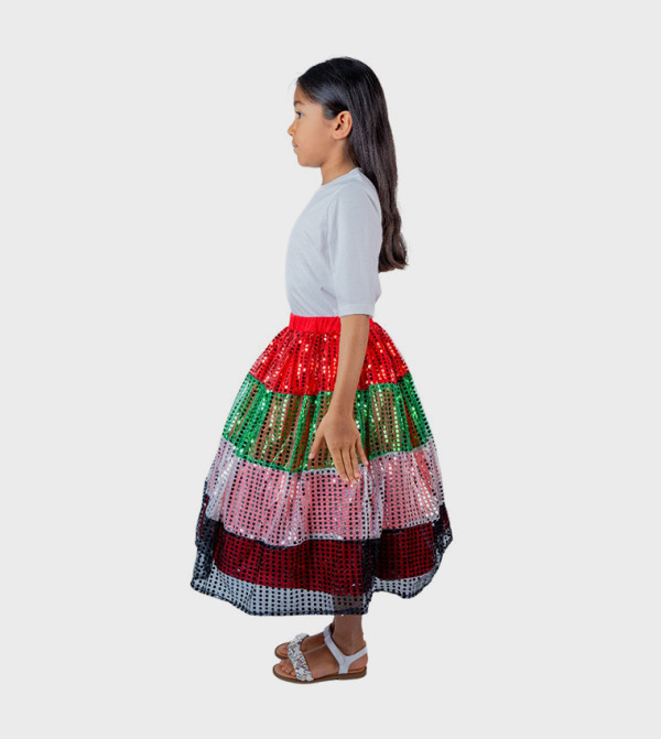 Ddaniela  Skirts & Dividers - Multi Skirts & Dividers
