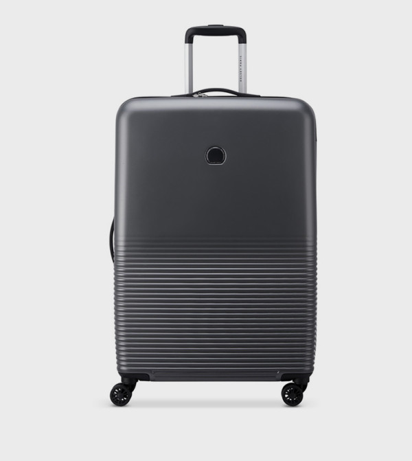 DELSEY  Travel Bags - Grey Trolley Bags & Luggage