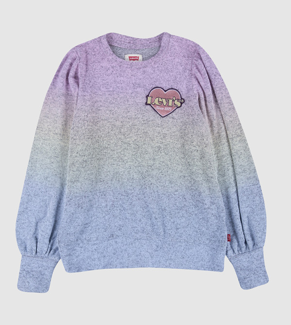 Levi's category 198 - Grey Sweatshirts