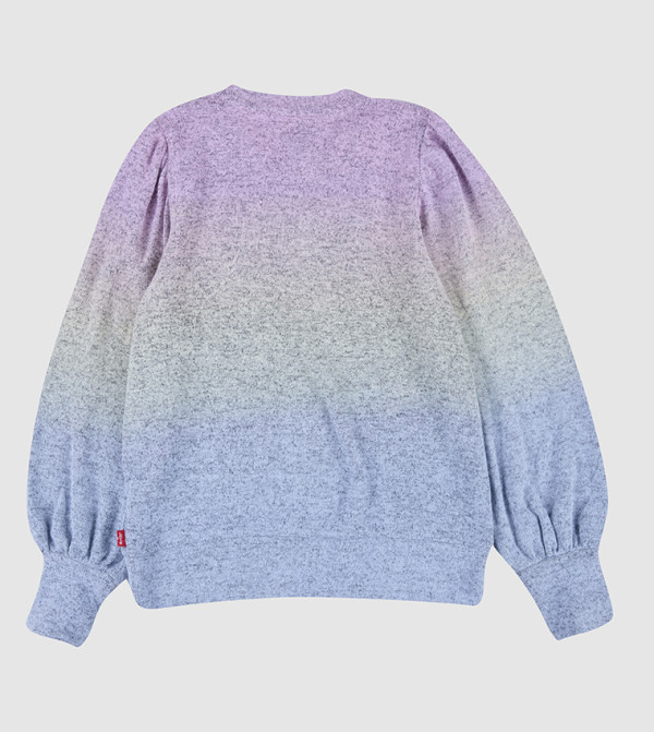 Levi's category 198 - Grey Sweatshirts