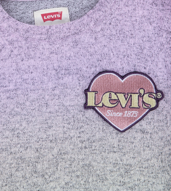 Levi's category 198 - Grey Sweatshirts