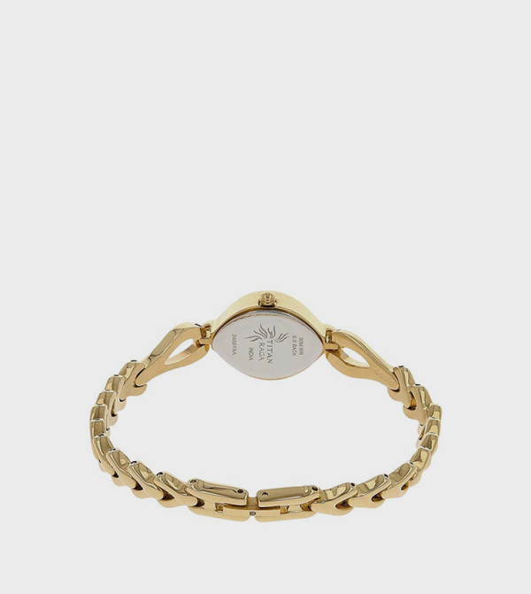 Titan  - Gold Analog Watches