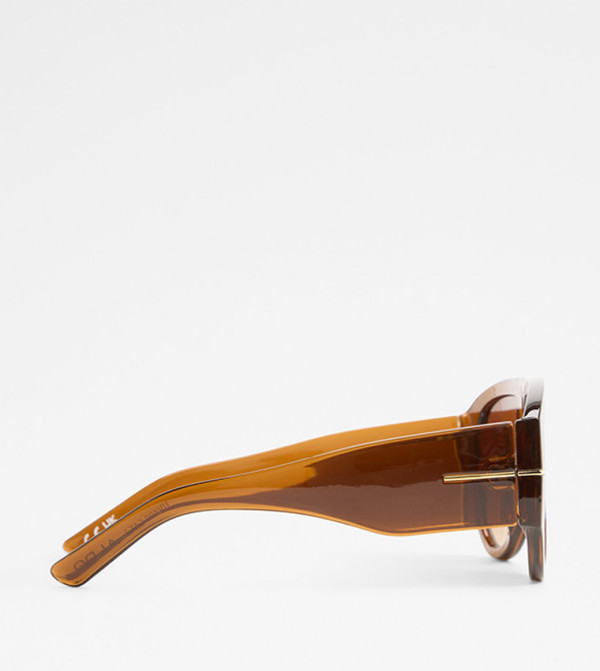 Aldo Accessories  Round Sunglasses - Brown undefined