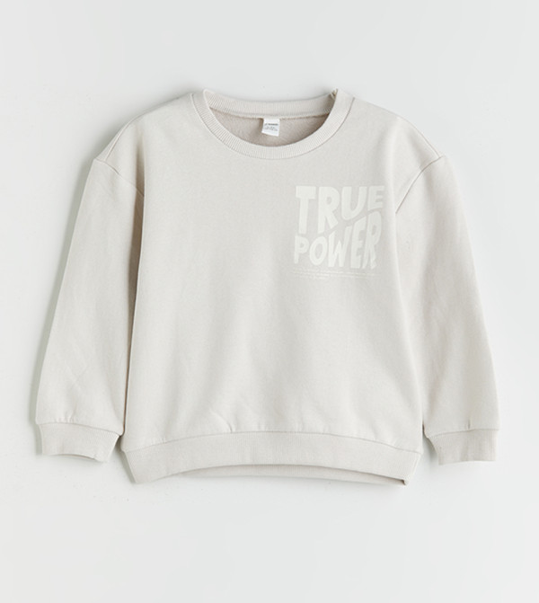 LC Waikiki  Sweatshirts - Grey Sweatshirts