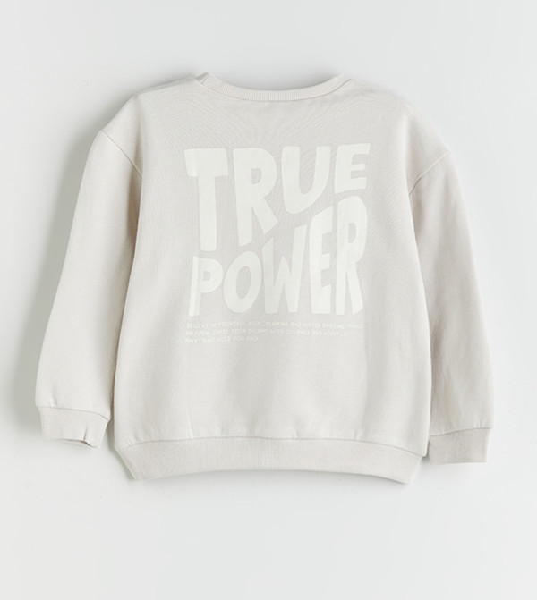 LC Waikiki  Sweatshirts - Grey Sweatshirts