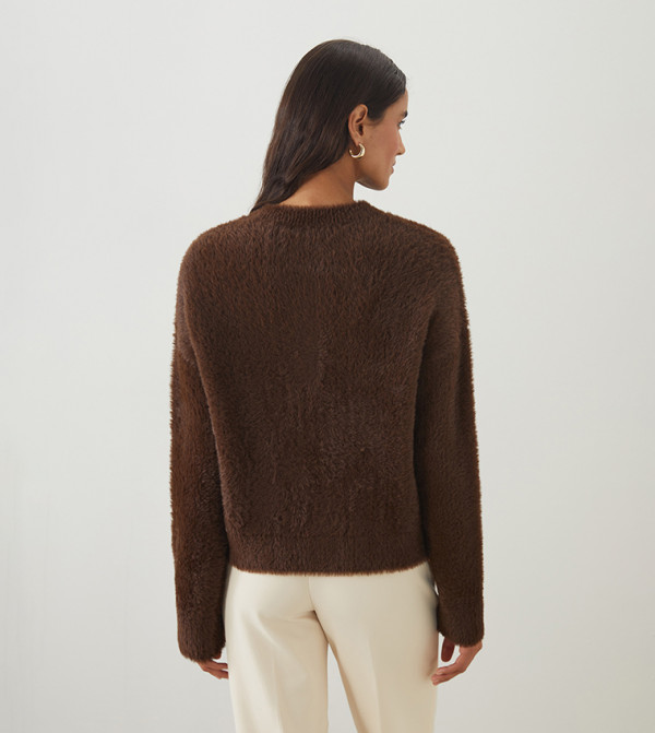 اٍل سي واي كيكي  سترات - بني  Round Neck Sweaters