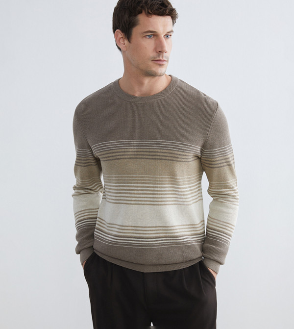 LC Waikiki  Round Neck Sweaters - Multi Round Neck Sweaters