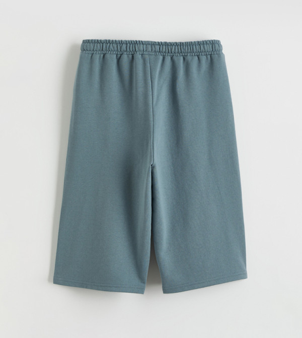 LC Waikiki  Shorts - Teal Shorts