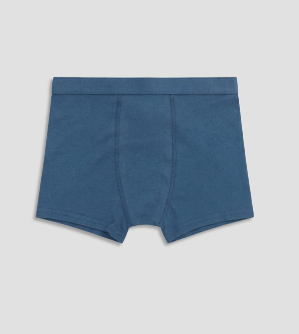 LC Waikiki  Briefs & Boxers - Navy Briefs & Boxers