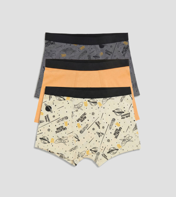 LC Waikiki  easy-camp-basics - CHARCOAL Briefs & Boxers