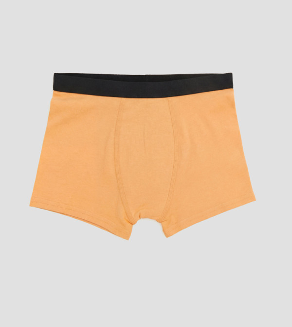 LC Waikiki  easy-camp-basics - CHARCOAL Briefs & Boxers
