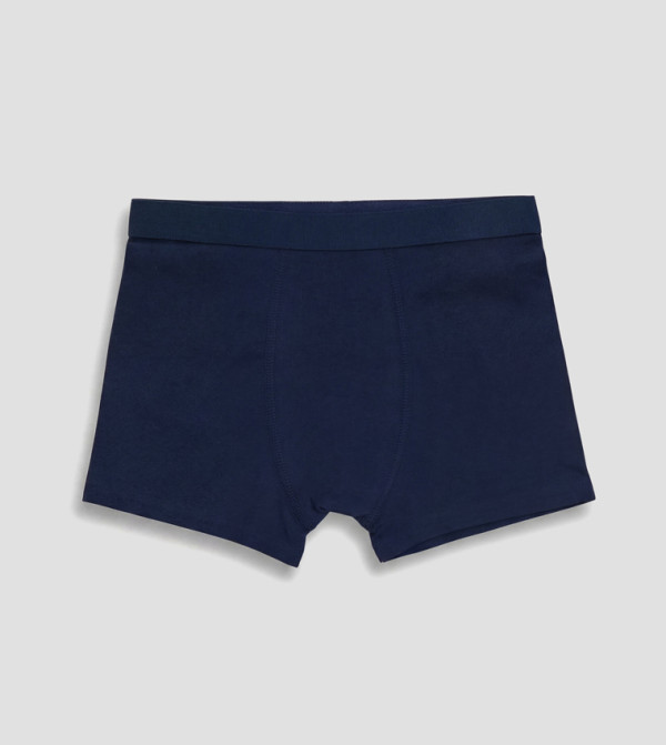 LC Waikiki  easy-camp-basics - Blue Briefs & Boxers