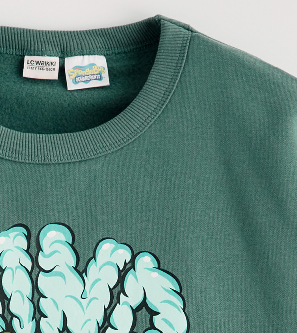 LC Waikiki  Sweatshirts - Green Sweatshirts