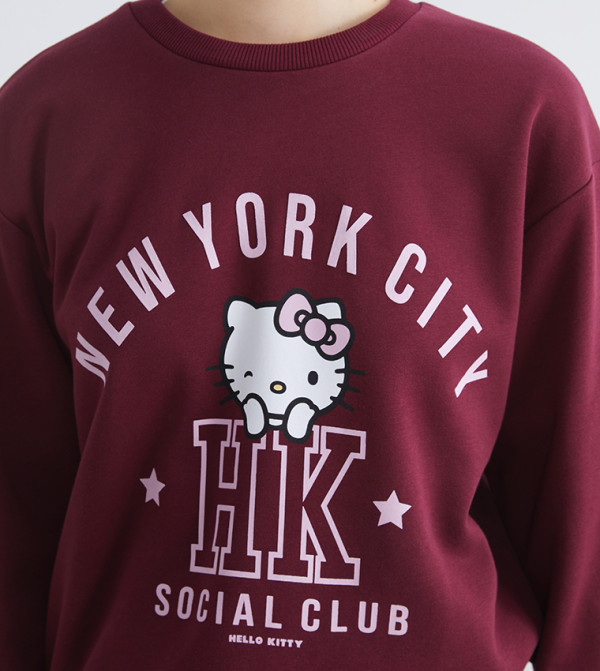 LC Waikiki  Hoodies & Sweatshirts - Maroon Sweatshirts