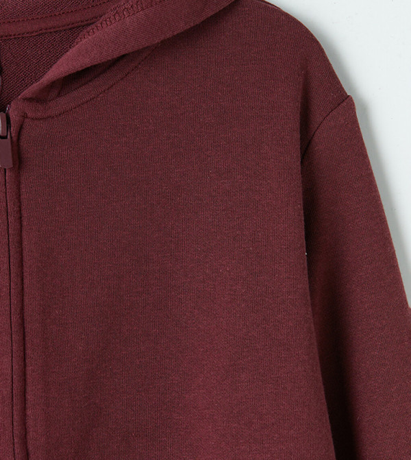LC Waikiki  Hoodies - Burgundy Hoodies