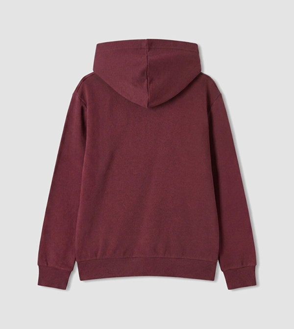 LC Waikiki  Hoodies - Burgundy Hoodies