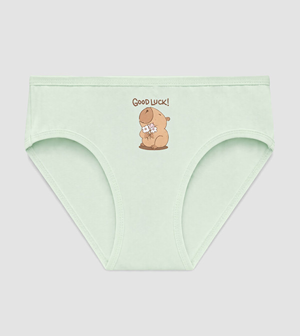 LC Waikiki Inner Wear & Thermals - Multi Panties & Bloomers