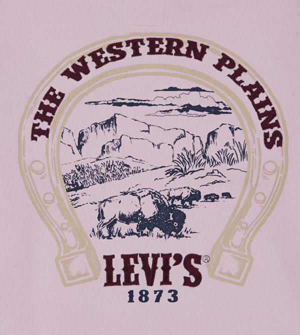 Levi's  Hoodies - Pink Hoodies