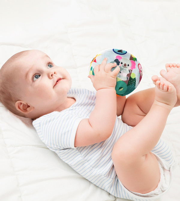 Moon  Educational Toys - Multi Educational Toys