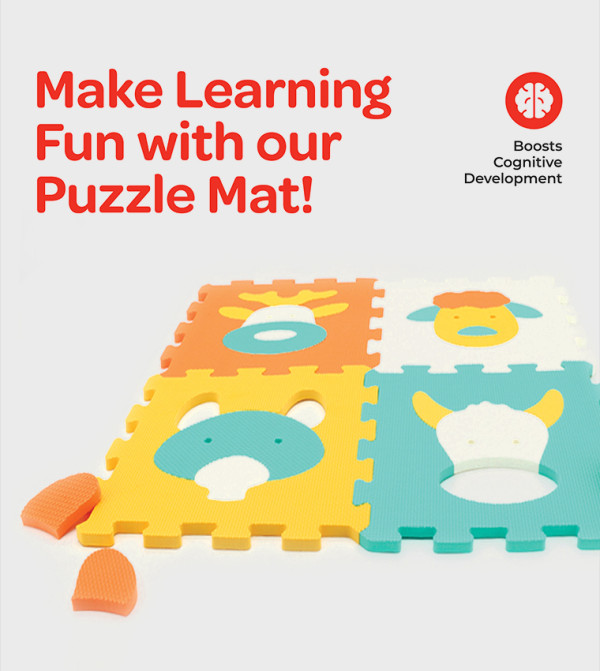 Moon  Educational Toys - Multi Educational Toys