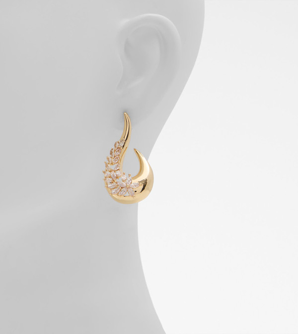 Aldo Accessories  - Gold Earrings