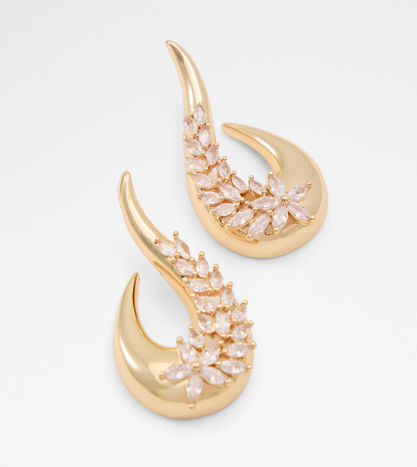 Aldo Accessories  - Gold Earrings