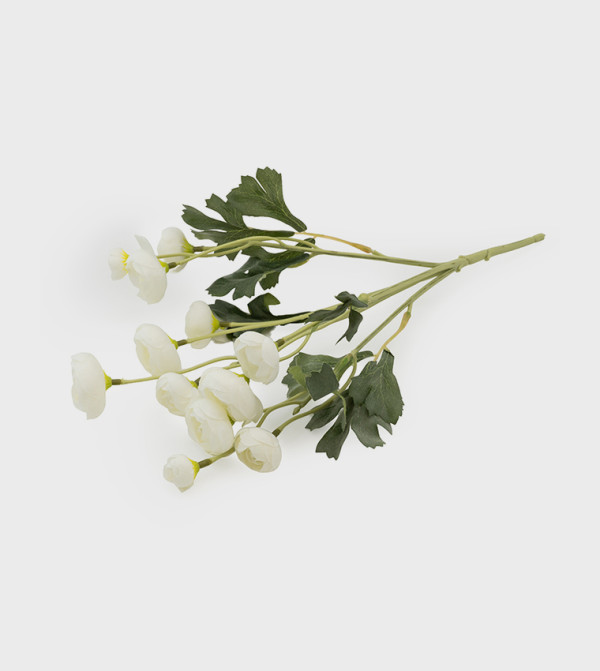 Candlelight  - White undefined