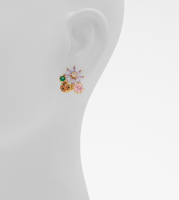 Aldo Accessories Earrings - Multi Earrings