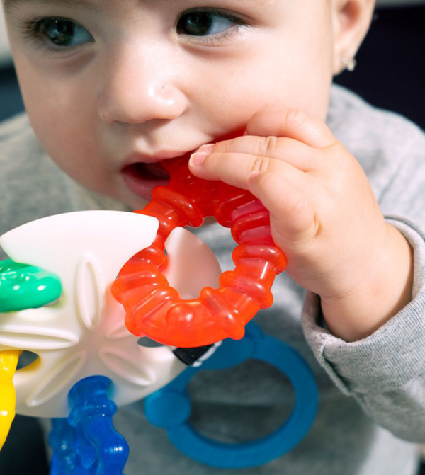 BABY EINSTEIN BABY EINSTEIN - Multi Teethers & Pacifiers