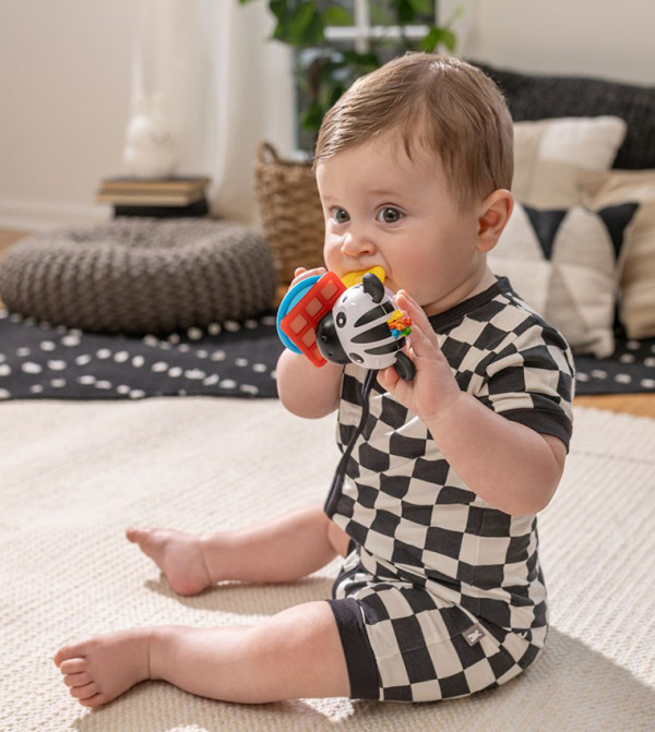 BABY EINSTEIN BABY EINSTEIN - Multi Teethers & Pacifiers