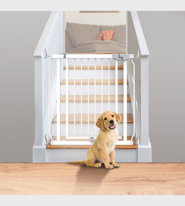 Ingenuity Ingenuity - White Childproofing & Safety